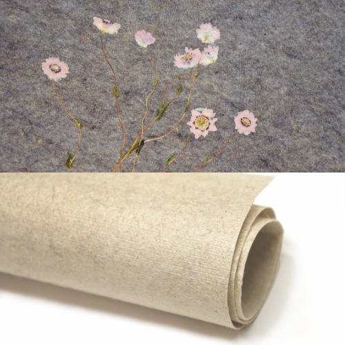 Oberfläche Sonnenflügel